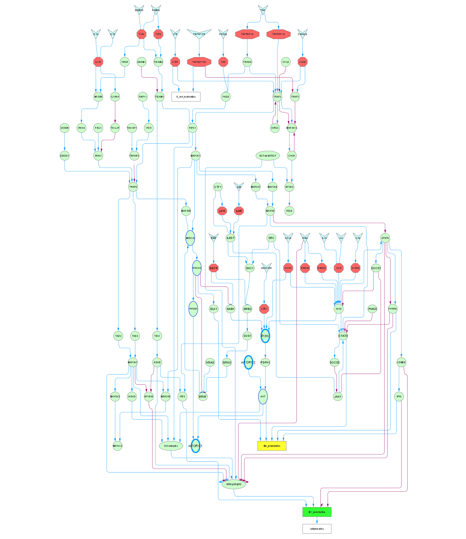 This is a pathway figure obtained from Cytoscape